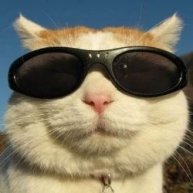 Иконка канала Видео с ютуба