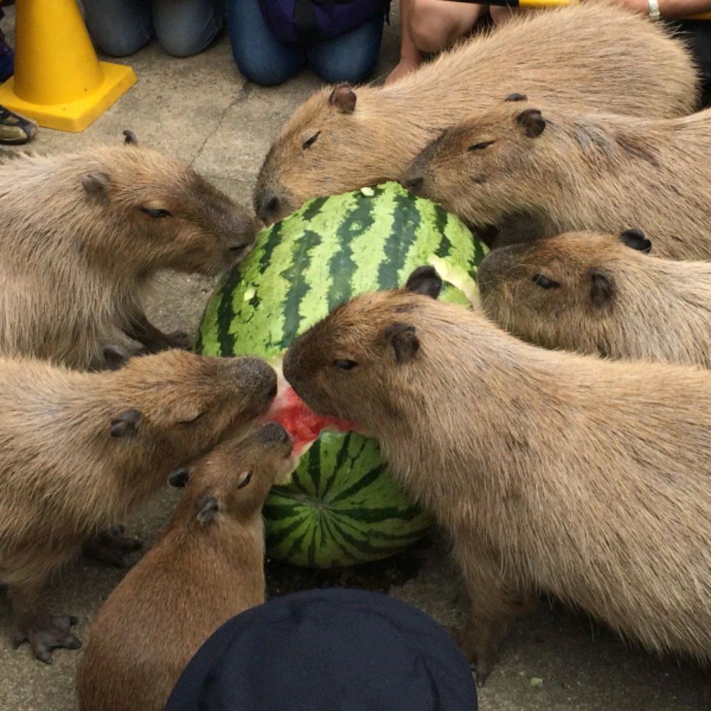 Иконка канала Азарт