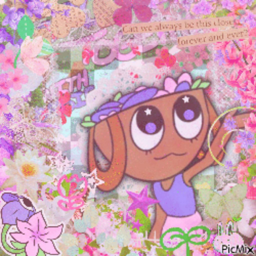 Иконка канала ╚══════Rai✮❁•°❀°•❁✮sae══════╝