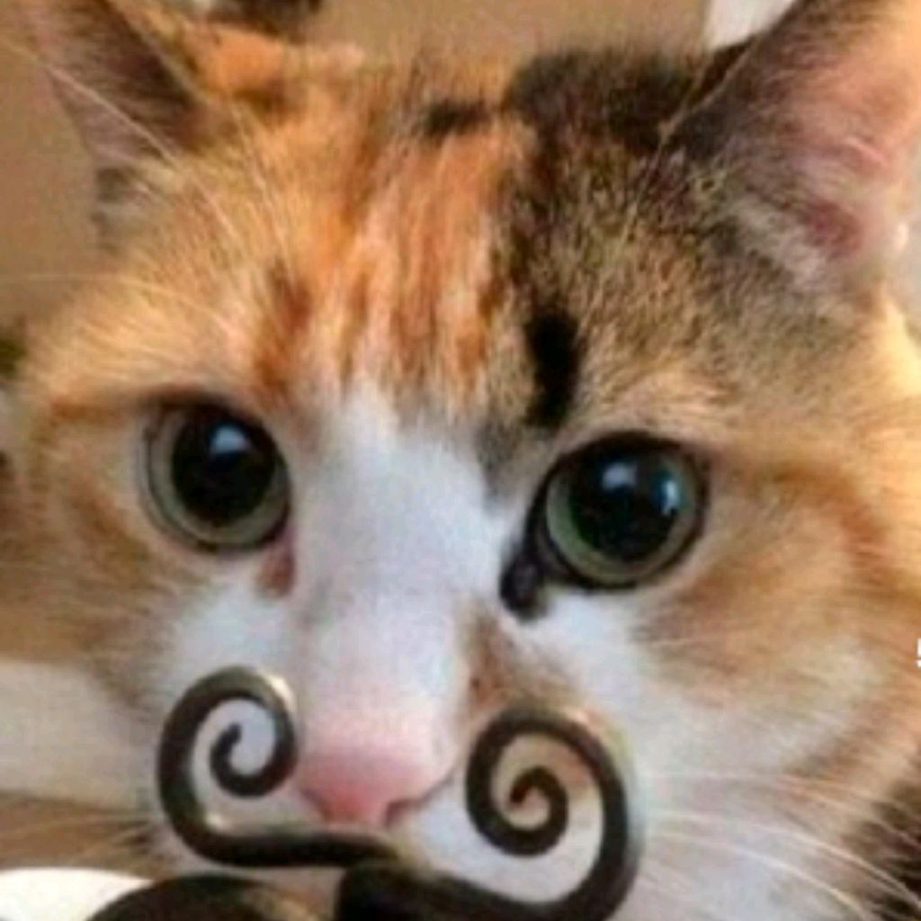 Иконка канала Про Мик