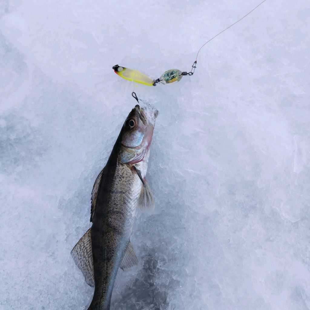 Иконка канала Рыбалка в Ульяновске