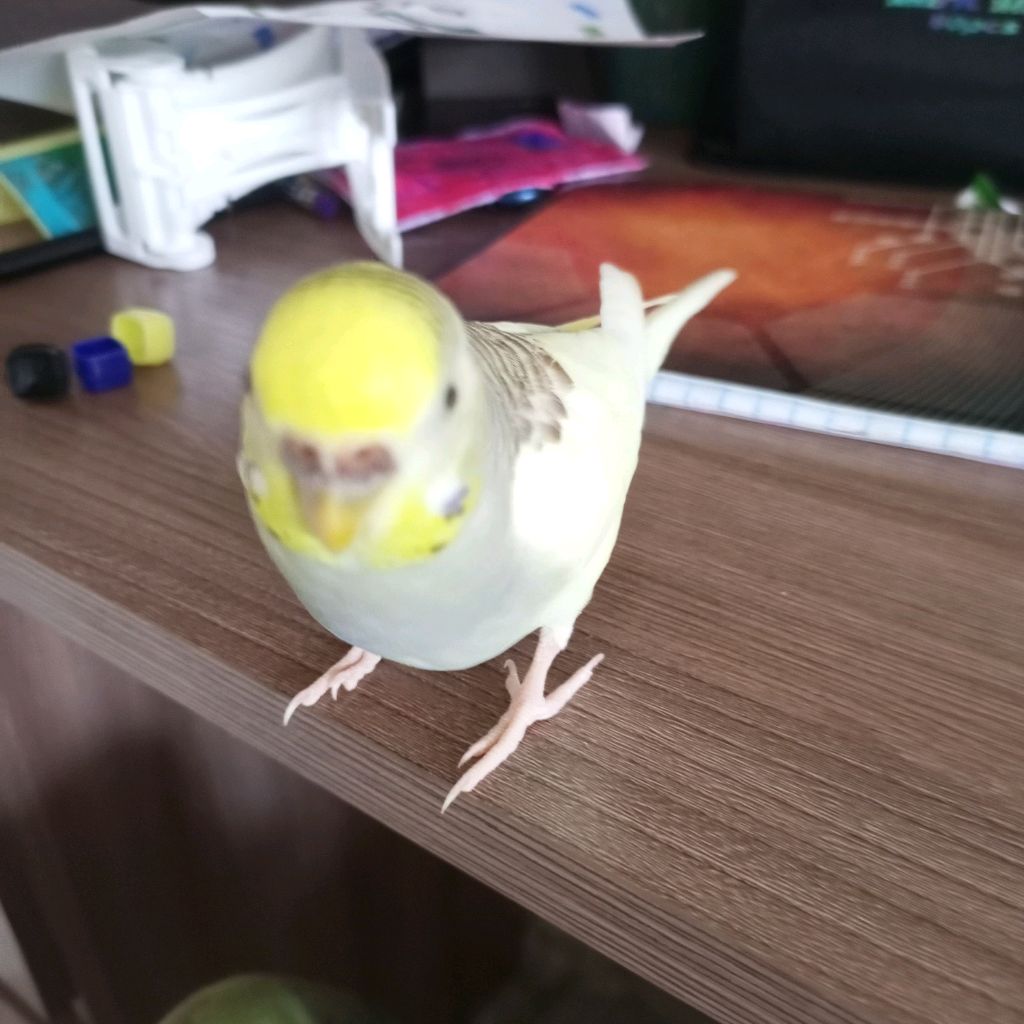 Иконка канала Тегинг Вор