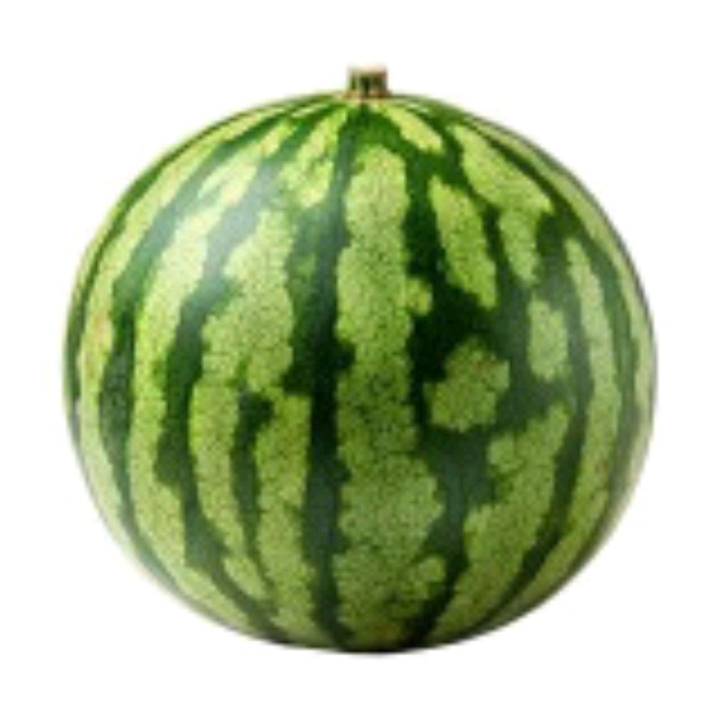 Иконка канала Я АРБУЗ ОТЦЕПИСЬ ИМБИЦИЛ