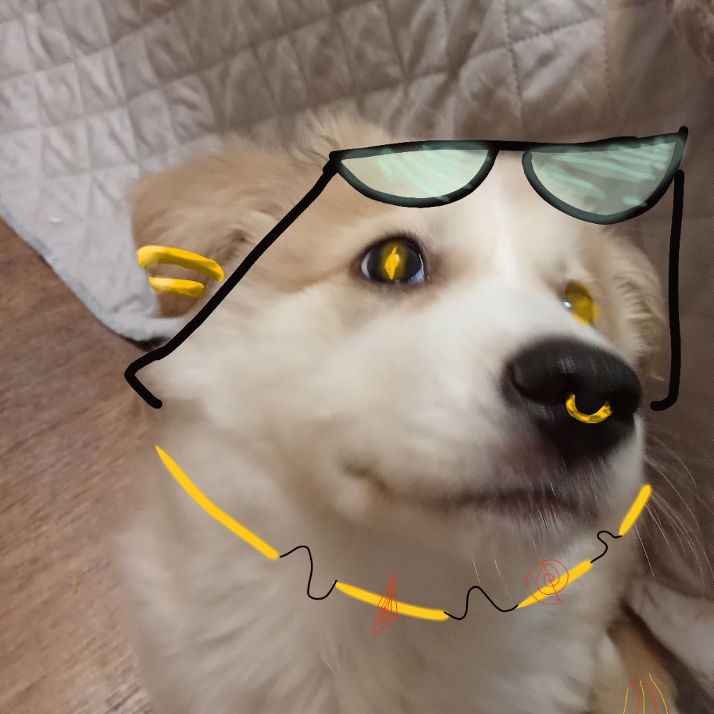 Аватар автора