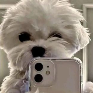 Иконка канала денежка