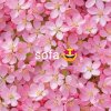 Иконка канала Sofa😍
