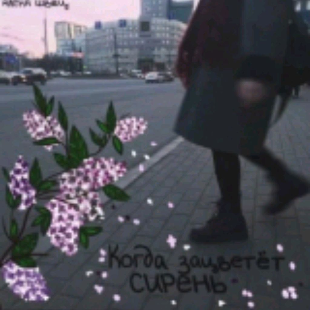 Аватар автора