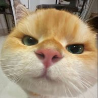 Иконка канала Пуфан