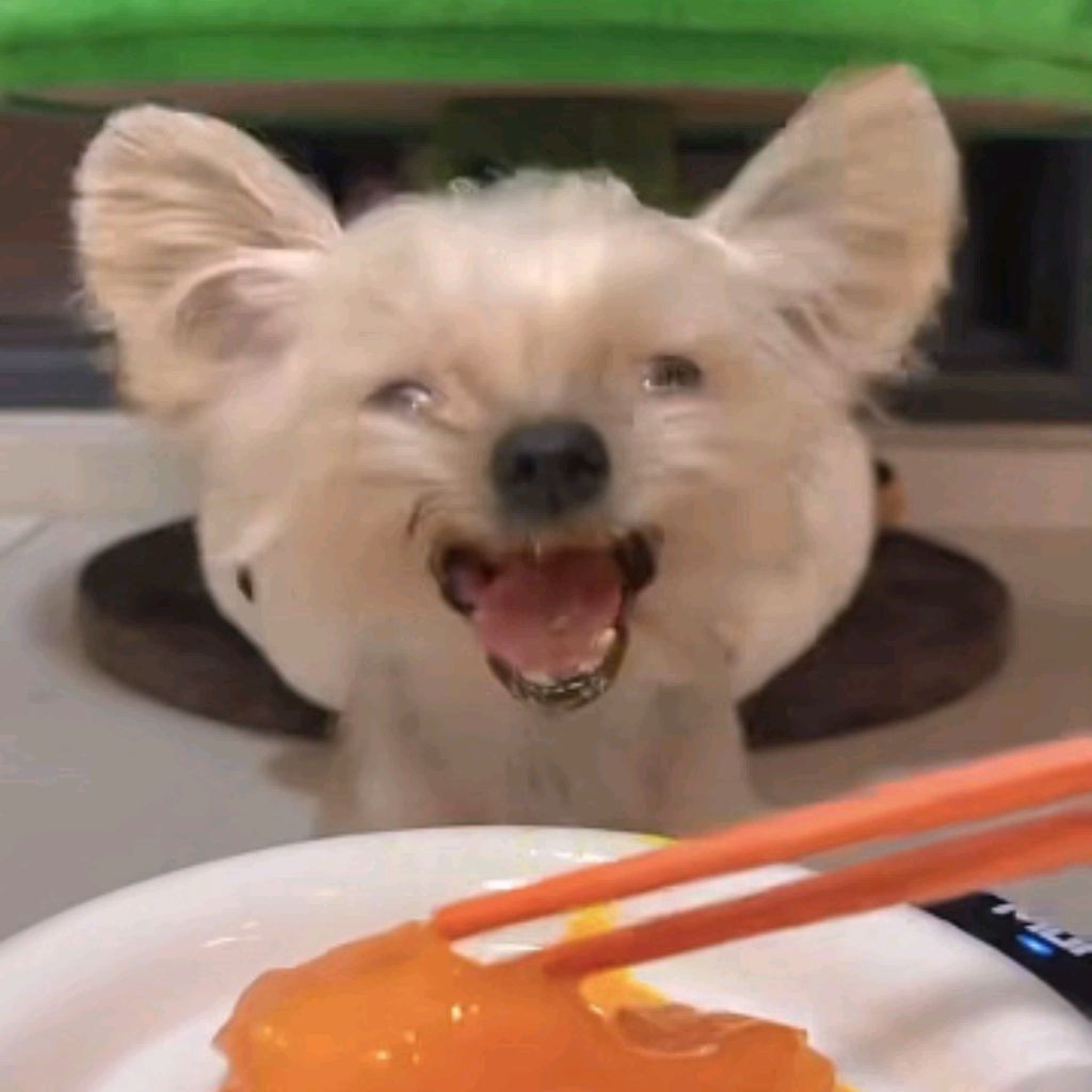 Иконка канала Meldi_bs