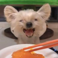 Иконка канала Meldi_bs