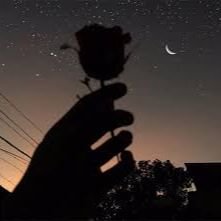 Иконка канала прикольные видосы