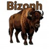 Иконка канала Bizonh