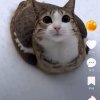 Иконка канала Привет Сигма