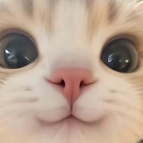 Иконка канала Куки плей