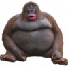 Иконка канала Просто Женя🙂