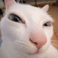 Иконка канала Нифтяк нифтяк