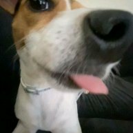 Иконка канала Ŷøŝĥķã И YSH studio