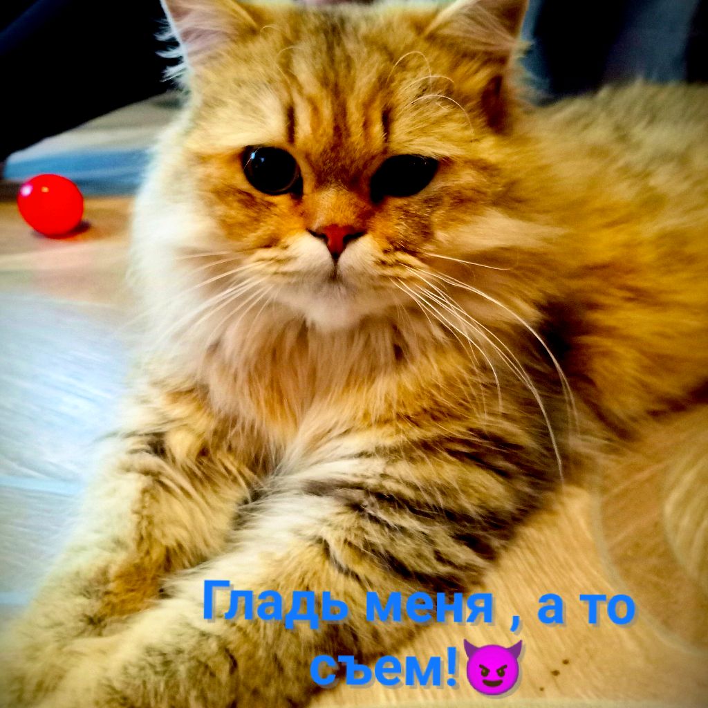 Иконка канала Mr.LEK