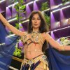 Иконка канала Танцовщица Лия. Восточные  танцы