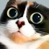 Иконка канала channel76957953