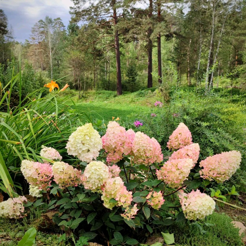 Иконка канала tanyaivaa