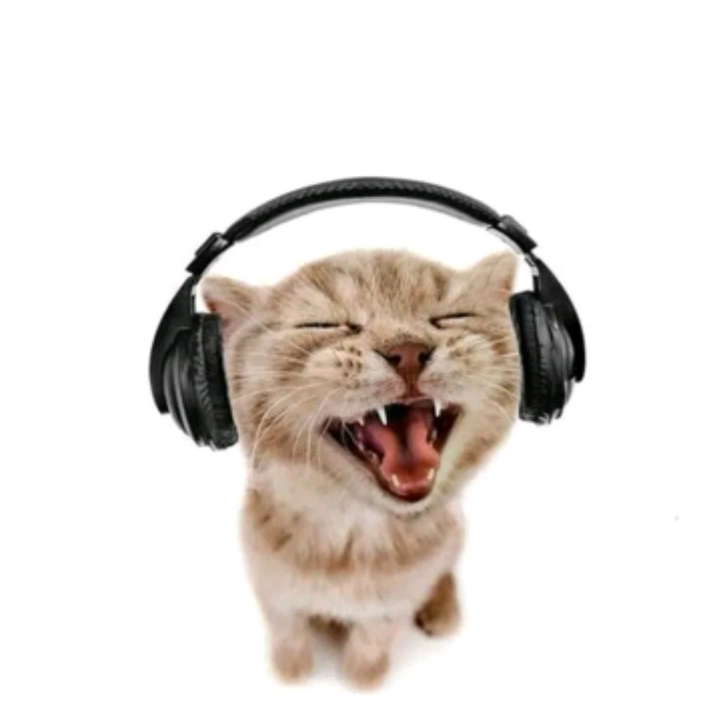 Иконка канала ПОНЧИК100!!!