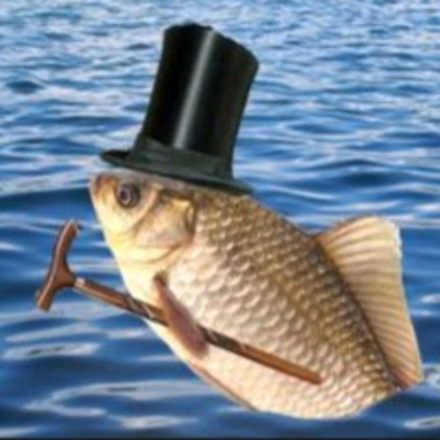 Иконка канала Mr Losos