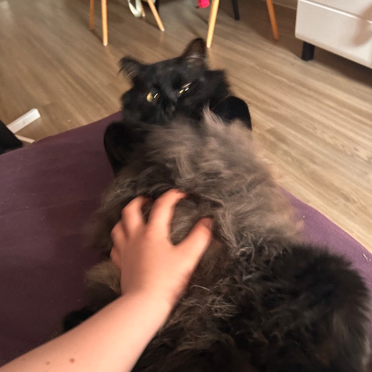 Иконка канала вика ты олег чечетка