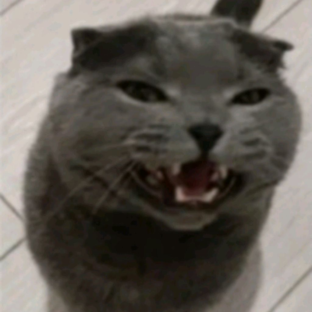 Иконка канала Злый Кот