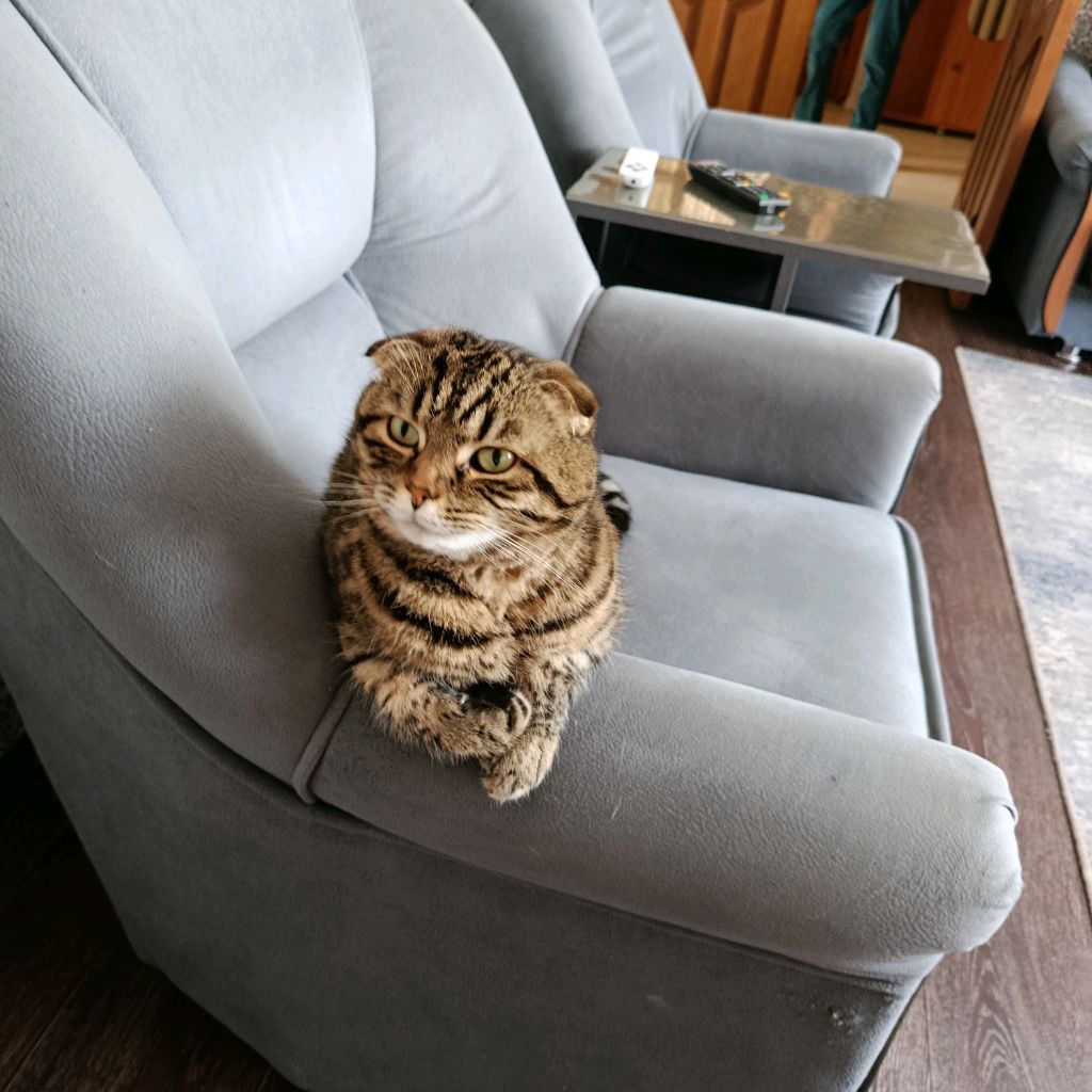 Иконка канала Егор842