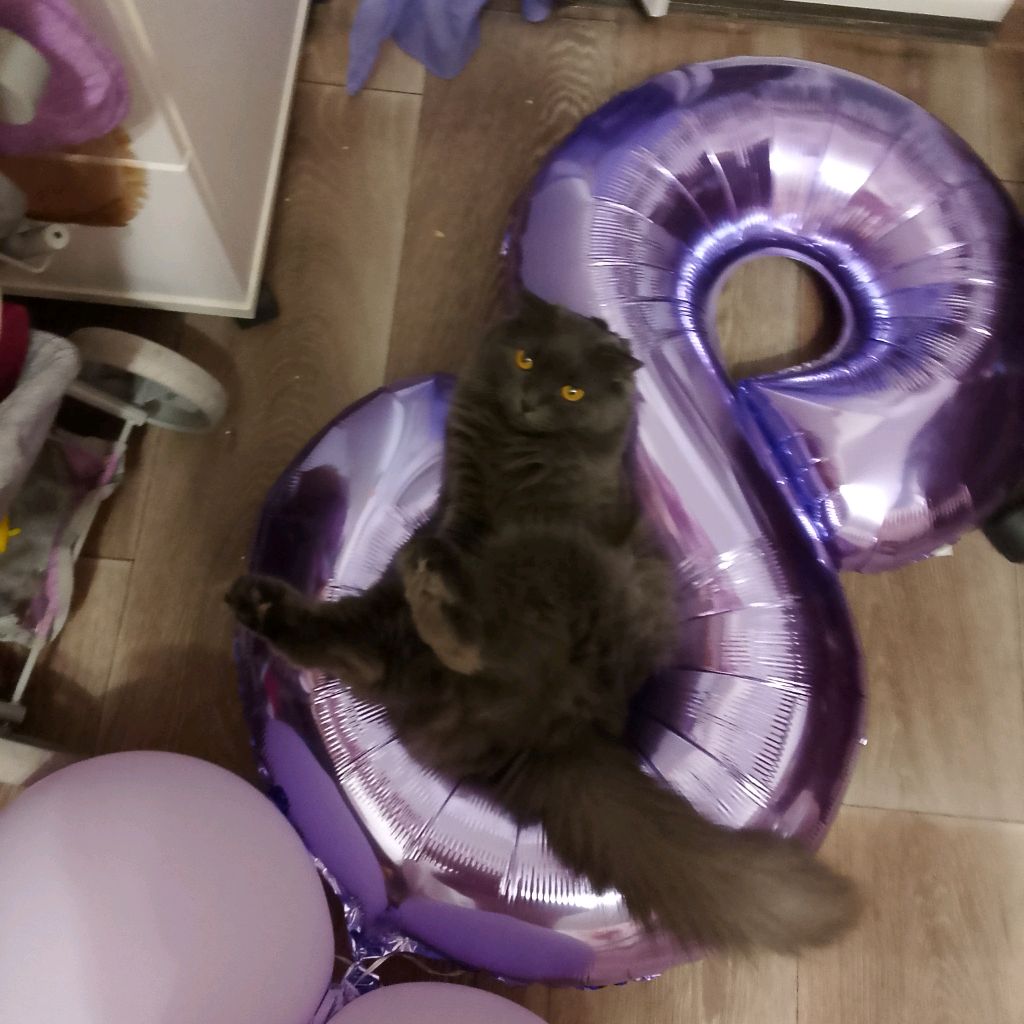 Аватар автора