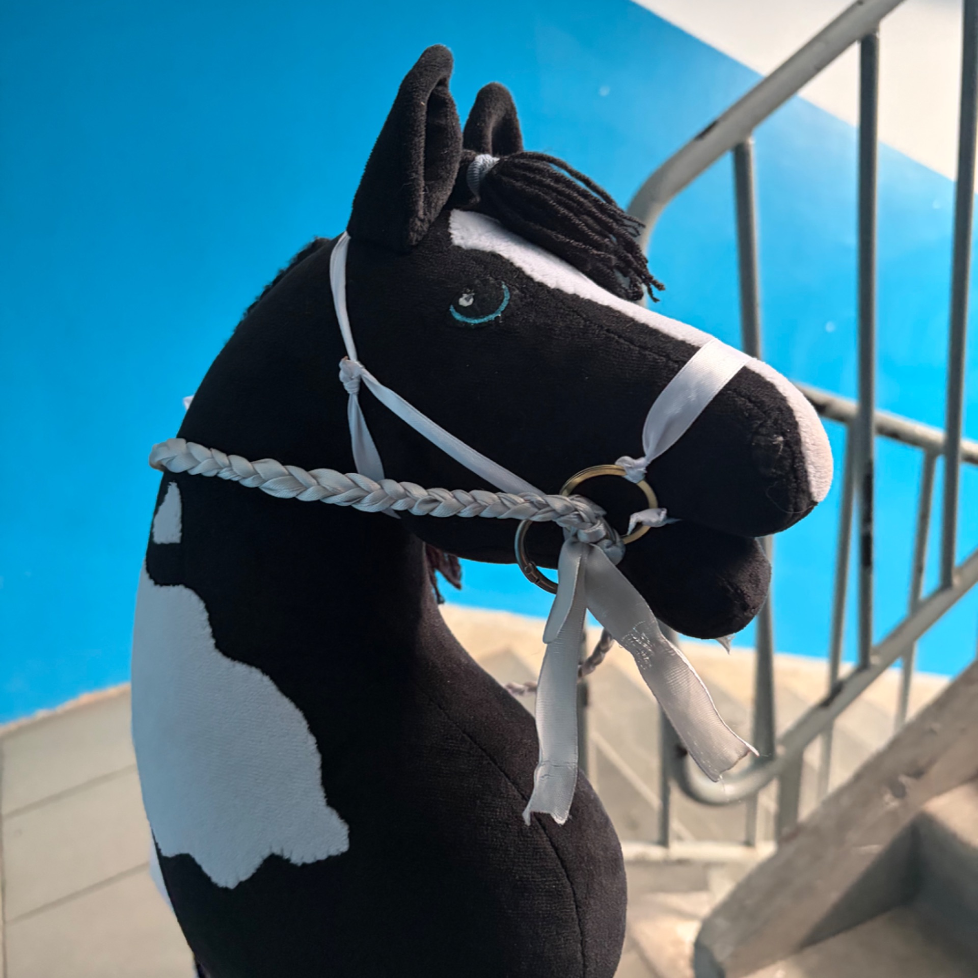 Иконка канала 🐴Аккорд и Акордия💖