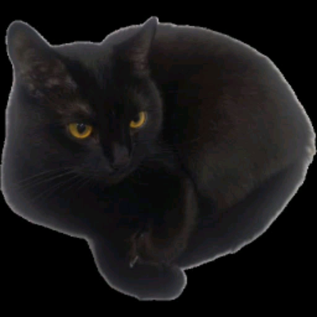 Иконка канала MS-MishkaSmetanka