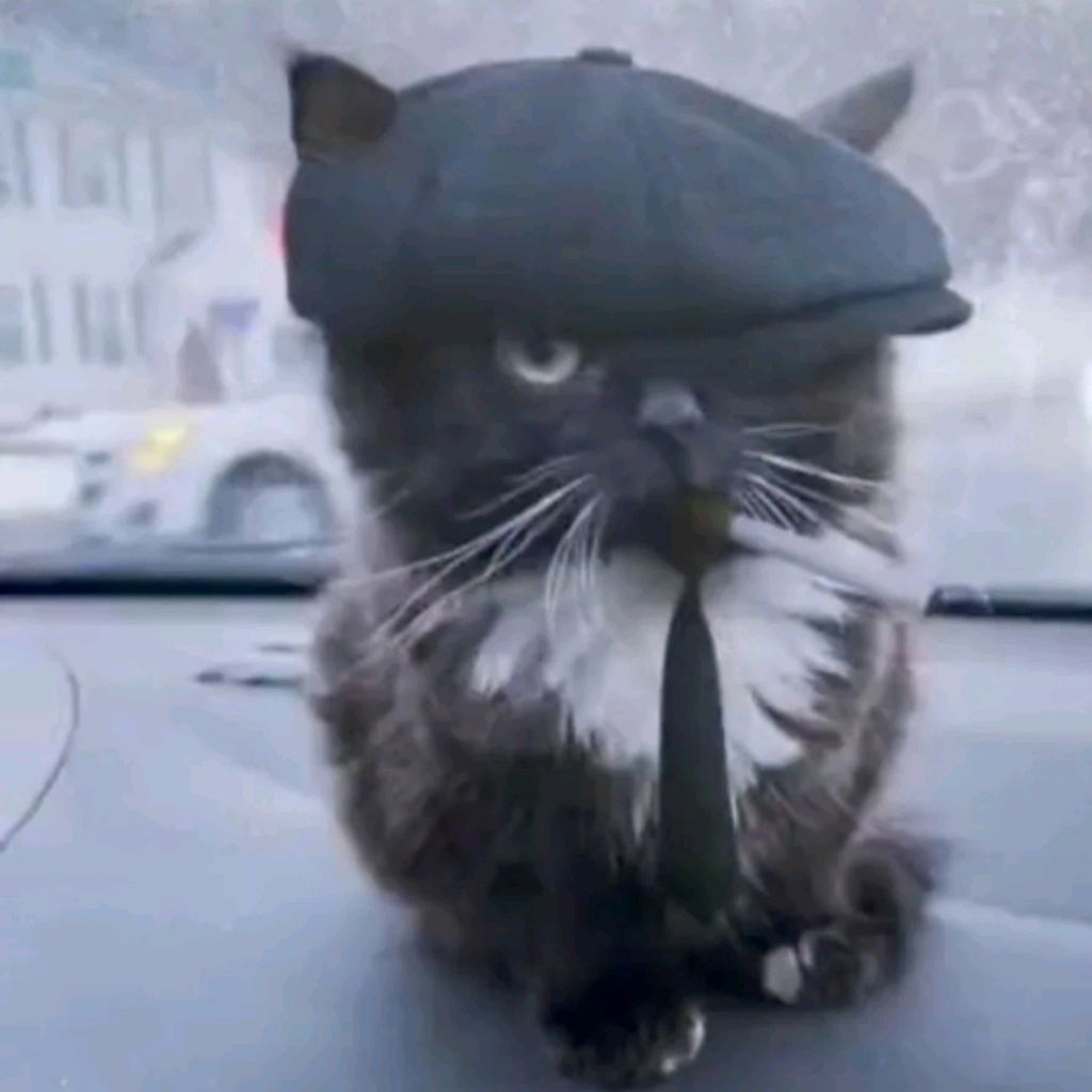 Иконка канала Daniel Z