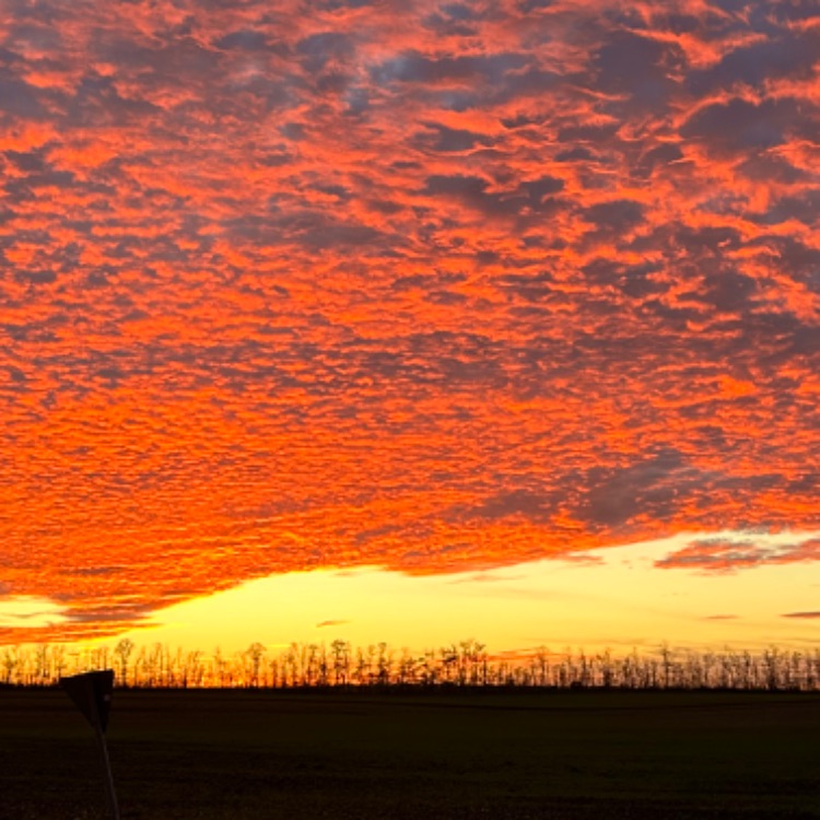 Иконка канала Tervin