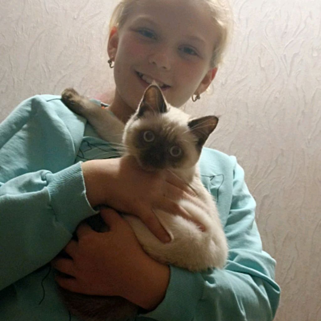 Аватар автора