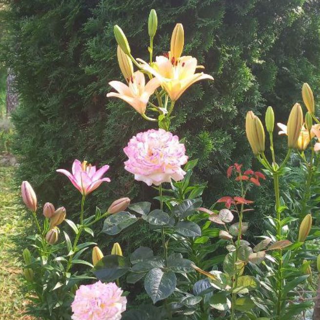 Иконка канала МОЯ ВСЕЛЕННАЯ.