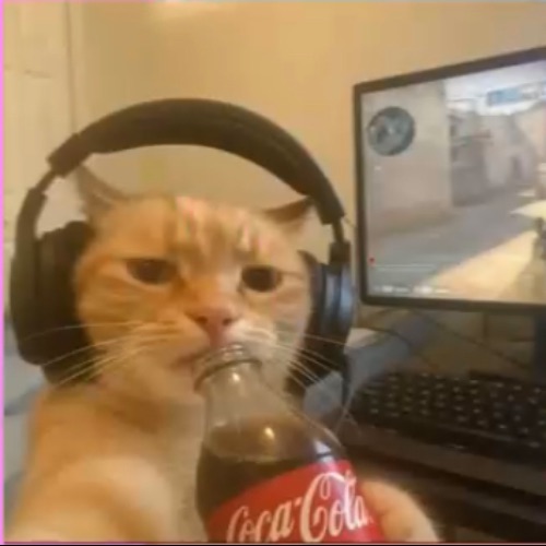 Иконка канала ﹤﹤ρыⲿυύ ⲕυᥴᥲ﹥﹥﹤﹤Максим дзюба,эстетик б Руслан=🤡﹥﹥