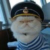 Иконка канала KoT_B_kedax