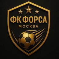 Иконка канала Футбольный клуб "Форса"