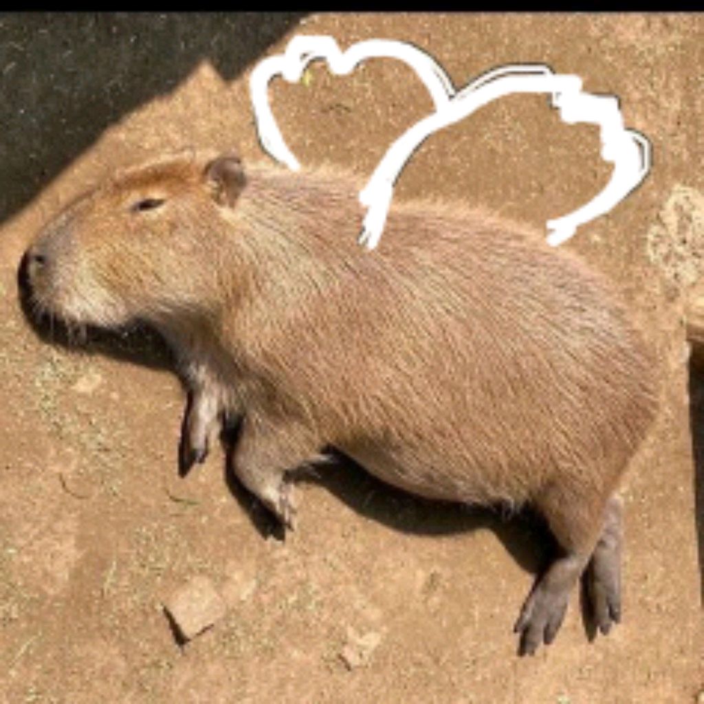 Иконка канала Капибара