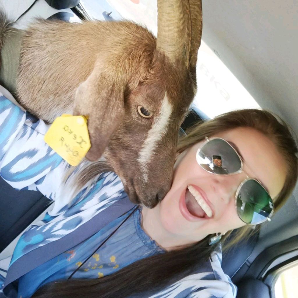 Иконка канала Девушка с козой миллионер в хуторе🐐❤