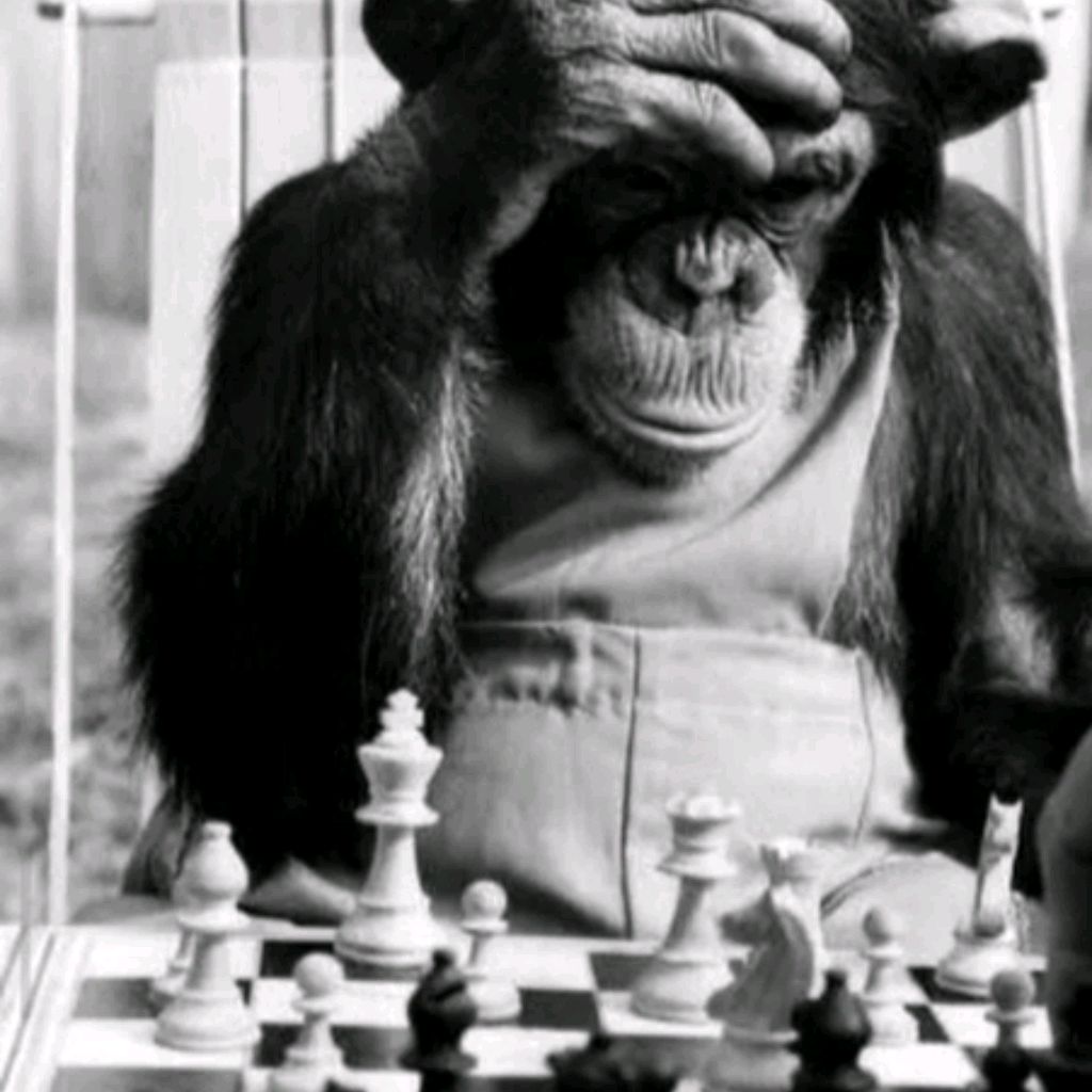 Иконка канала THE ROOK ♜