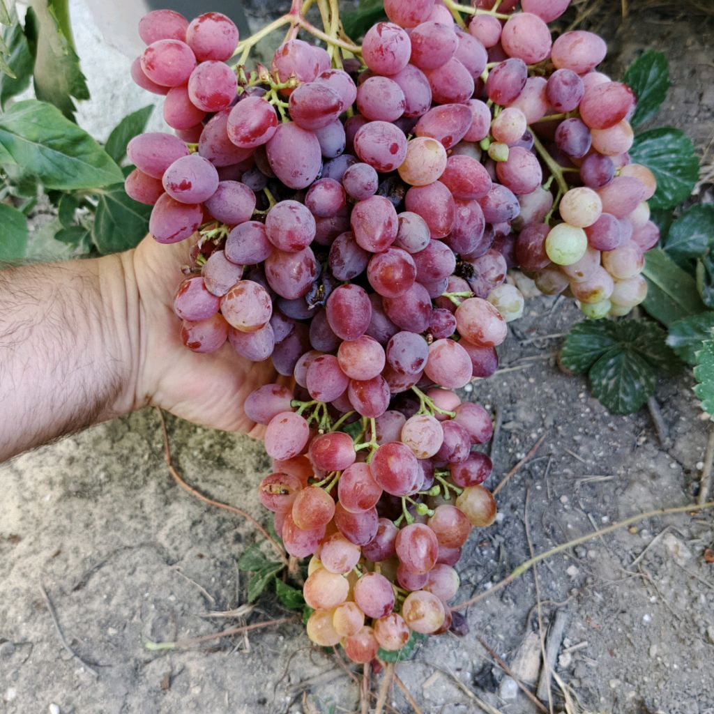 Иконка канала Приятное Свидание