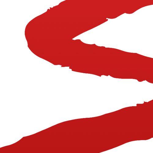 Иконка канала S21