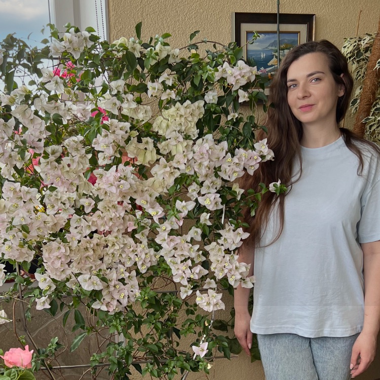 Иконка канала Bougainvillea Elena