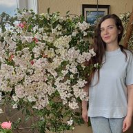 Иконка канала Bougainvillea Elena