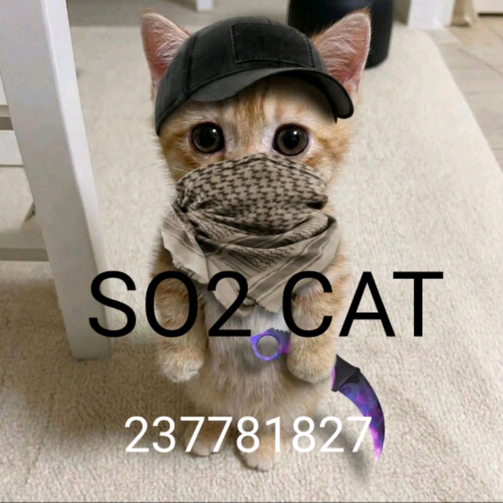 Иконка канала STANDOFF 2 CAT