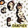 Иконка канала ≺♡≻ⲡⲁⲿⲟⳡⲉⲕ≺♡≻