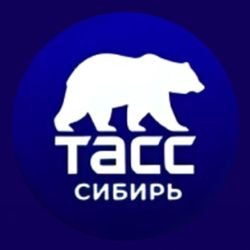 Иконка канала ТАСС Сибирь
